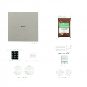 Bundle Offer - Lasius niger